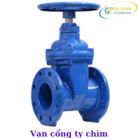 Van cổng ty chìm mặt bích