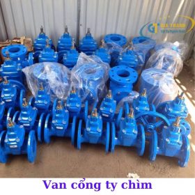 Van cổng ty chìm mặt bích